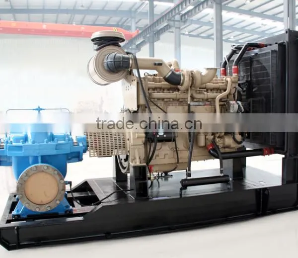 DEFU Brand Drinking Water Hand Pump With Diesel Engine photo-2