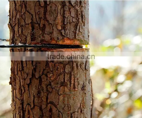 Горячая продажа цепной пила с красной рукояткой photo-4