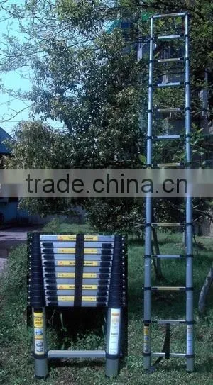 Telescopic Ladder