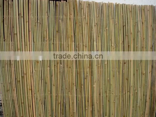 Drilled Bamboo Fence for Garden photo-5