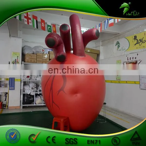 Large Inflatable Heart Organ Replica Balloon Artificial Custom Organ Model Inflatables PVC Advertising Toys Ball photo-4