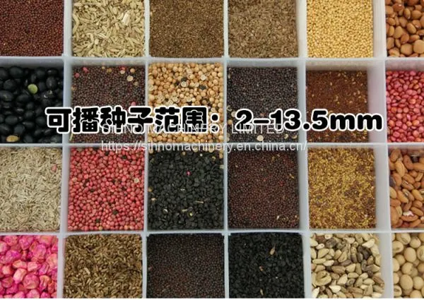 3 Rows Jang Vegetanle Cabbage Planter +86-18006107858 photo-4