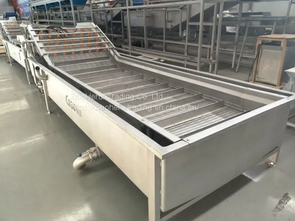 Industrial machine fruits processing washing cleaning machine
