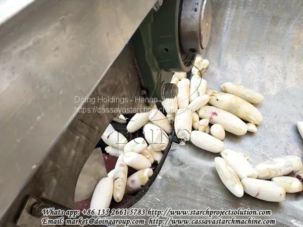 High Performance and Low Damage Cassava Peeling Machine Used Cassava Processing Process photo-3