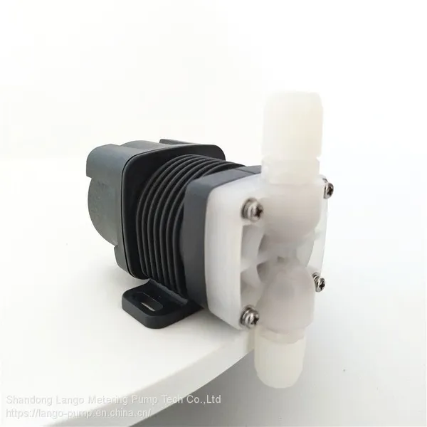 3L/H 2bar PH Controller Dosing Metering Pump for Boiler photo-4