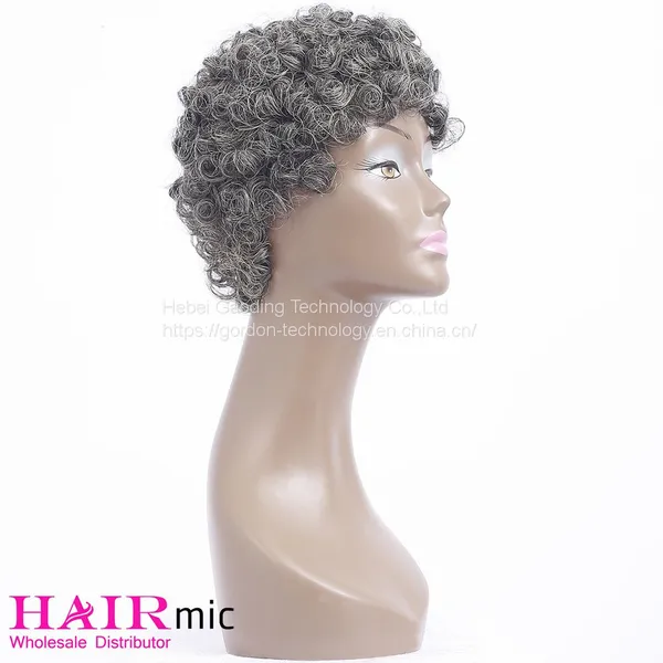Gray Short Curly Full Lace Human Hair Wig Vendor photo-2
