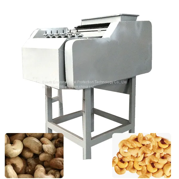 Cashew Nut Shelling Machine |  how is cashew nuts processed | cashew nut processing factory