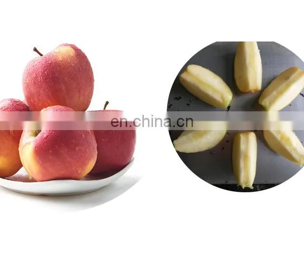 Automatic Fruit Stone Extractor Apricot and Apple Core Removal Machine. photo-3