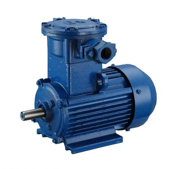 Explosion-proof Motor photo-3