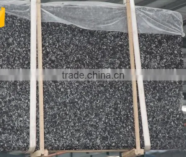 Cheaper Superior Supply Black Fossil Marble Decorative Wall Tile photo-4
