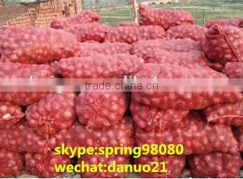 pp Mesh Bag for Onion, Vegetable Mesh Bag Wholesale,mesh Bag for Oranges photo-3