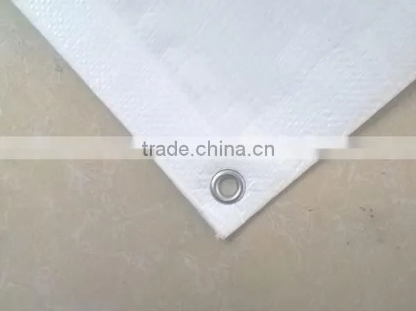 Canvas Fabric pe Tarpaulin Sheet photo-6