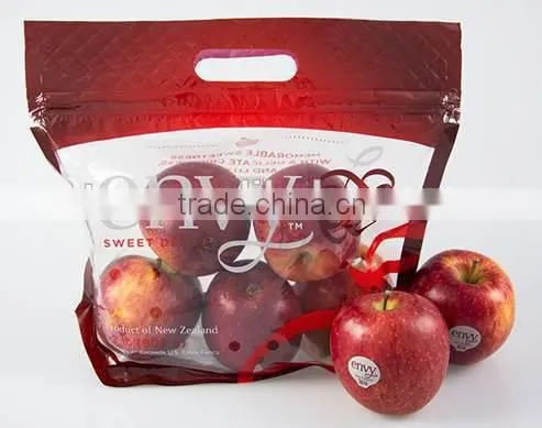 2014 Hot Sell Plastic Snacks Dry Fruit Bag photo-5