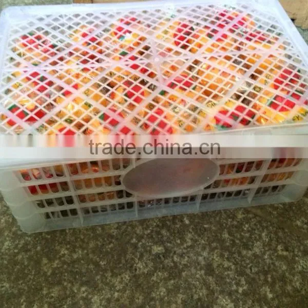Sell Good Farmer Big Mandarin Orange Brother Kingdom photo-5