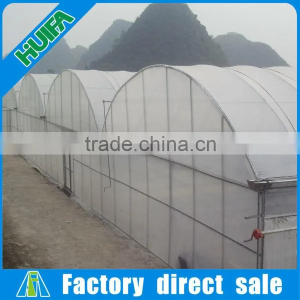 8m Width Multi-span Plastic Film Tunnel Vegetable Greenhouses for Sale photo-6
