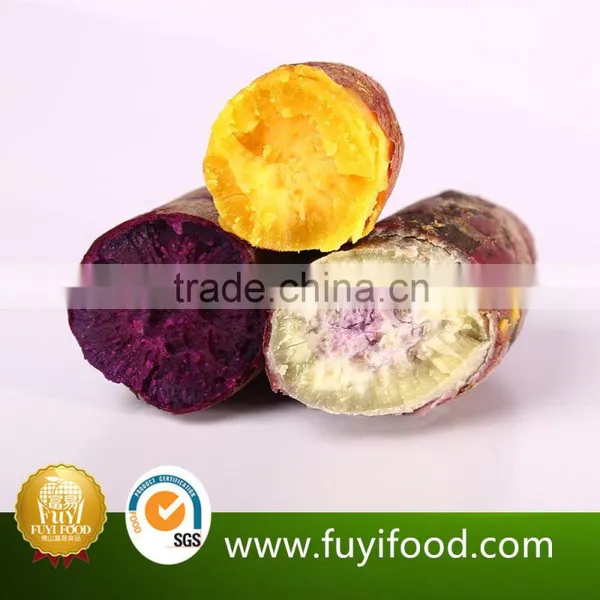 Exporter Fresh Purple Sweet Potatoes photo-4