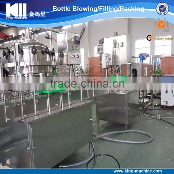 Small Capacity Pet Can / Aluminum Can Filling Machine photo-5
