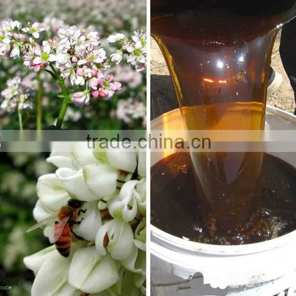 Buckwheat Honey photo-3