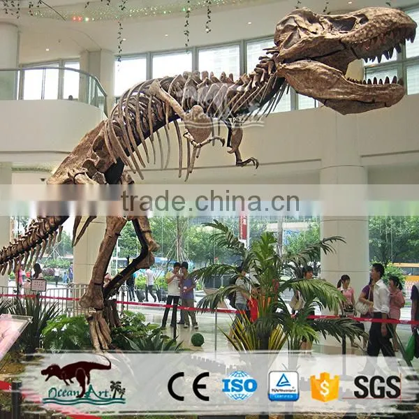 High Quality Museum Dinosaur Fossils