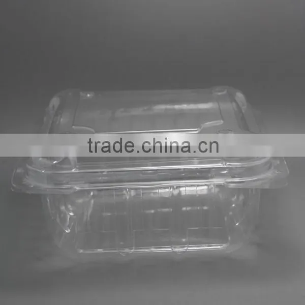 Disposable PET Clear Container, Plastic Snap photo-2