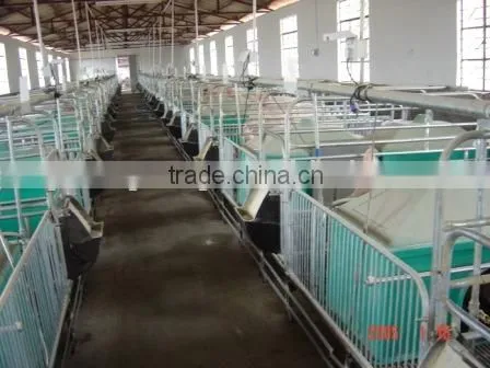 Pig Raising Equipment