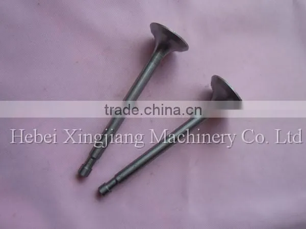 Durable Using Low Price High Quality Diesel Engine Valve Set photo-2