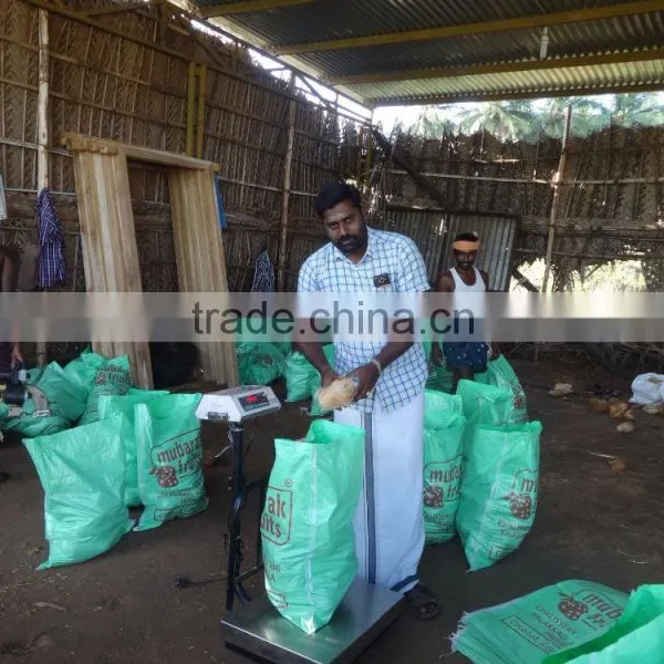 Todays Coconut Price in TamilNadu photo-2