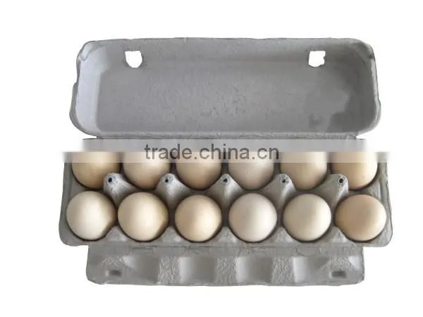 Egg Box Carton Machine Egg Box Machine Paper Tray Best photo-3