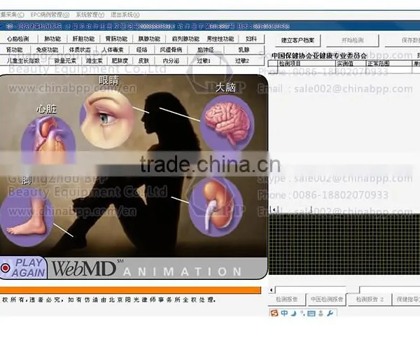 Quantum Therapy Analyzer For Sale photo-6