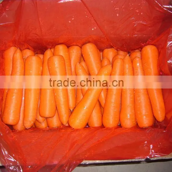 2016 Chinese New Crop Fresh Carrot in Carton photo-2