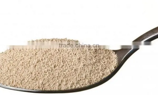 natural bread yeast manufacturer supply