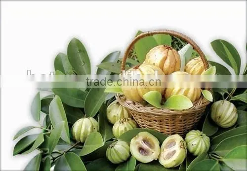 100% Natural Garcinia Cambogia Extract photo-4