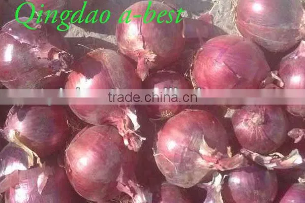 Fres Onion photo-3