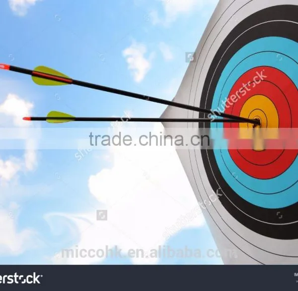 10 RING ARCHERY TARGET photo-3