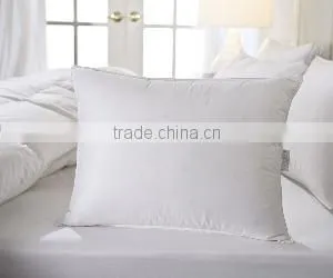 down feather pillow