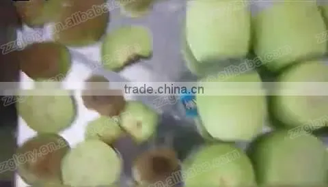 High-Rate Fruit Kiwi Peeling Machine, Orange Peeling Machine photo-4