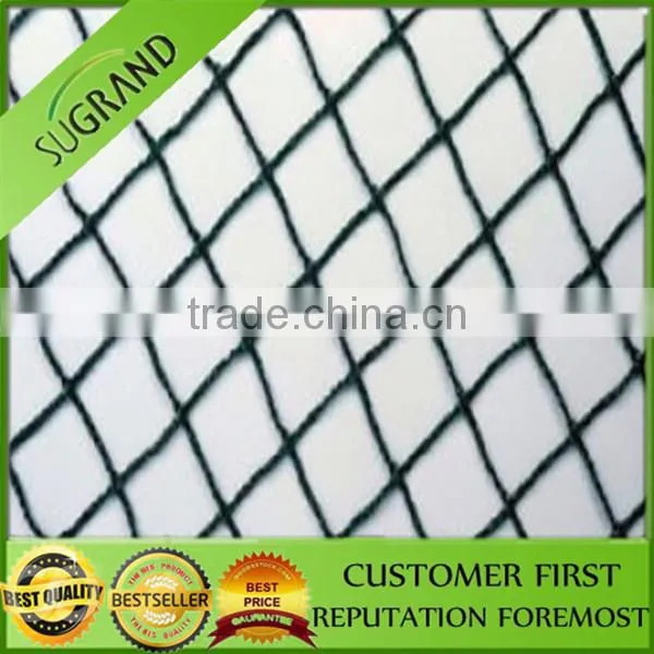 Hot Sale New Material Plastic Anti Bird Nets for Fruit Farm photo-3