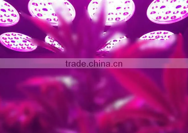 High Input 600W Light Grow Led Double Lens Grow Lamps photo-6