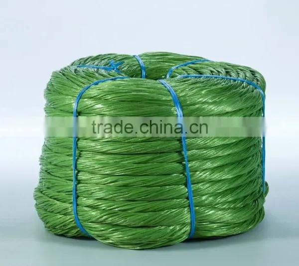 Tomato Twine for Florida Weave Cultivation photo-5