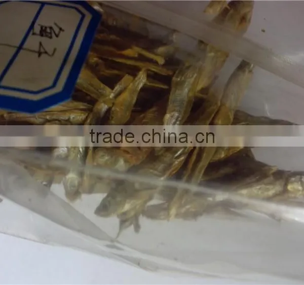 Microwave Dried Fish for Pet (turtle;lizard);Factory Price Dried Fish photo-4