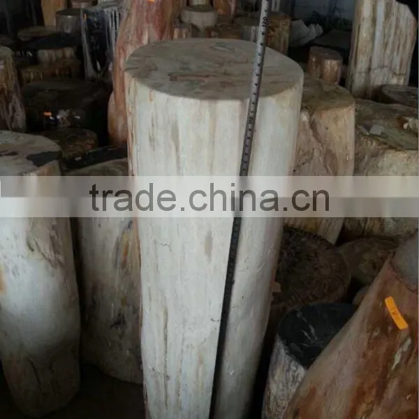 Petrified Wood,fossilized Wood,Luxary Nature Decorative Stone, photo-3