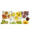 Sell Rectangle Glass Plates