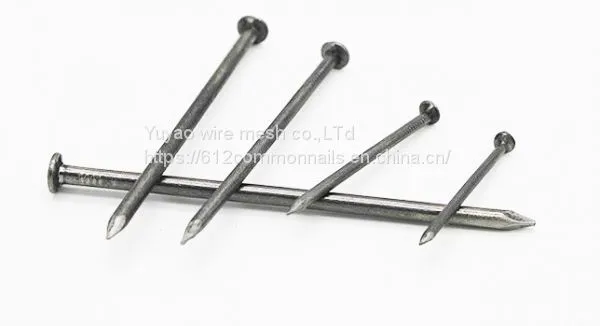 Common Nail/ Iron Nail/ Wire Nails