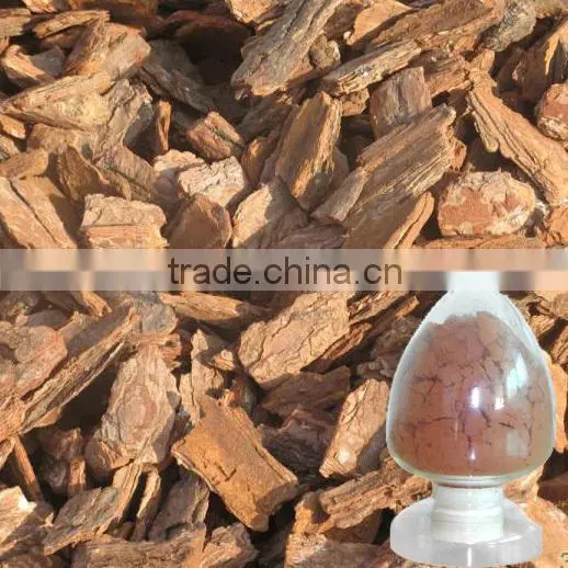 Pine Bark Extract