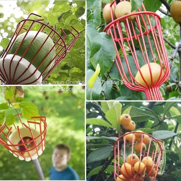 High Stiffness16ft 20ft 23ft Carbon Fiber Fruit Harvest Picking Rod for Apple/pear/peach/lemon/persimmon Etc photo-4