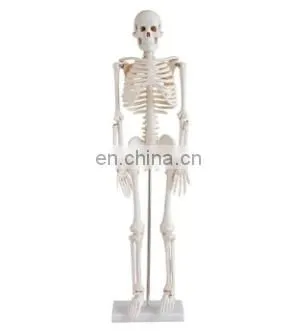 Multi-functional Advanced Medical Science Mannequin Trauma Nursing Training Manikin Nursing Training Mannequin photo-5