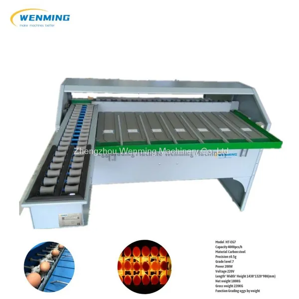 Egg Grading Machine Automaticr Egg Sorting Machine Egg Grader photo-3