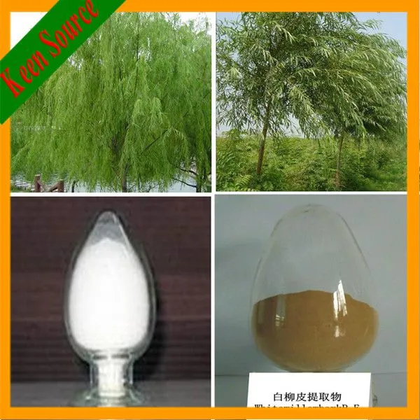 White Willow Bark Extract photo-4