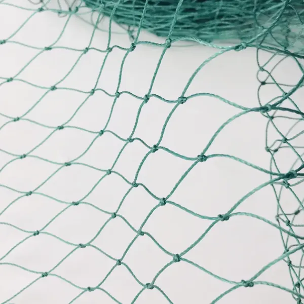 18-Strands 2CM 3CM 4CM Hole Size Heavy Anti Bird Netting,Poultry Aviary Knotted Polyethylene Protection Net photo-2