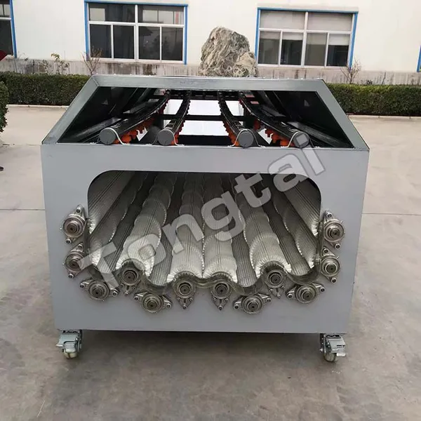 Daikon Cleaning Machine Automatic Radish Washing Machine photo-2